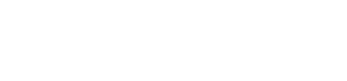 BLUE INNOVATION