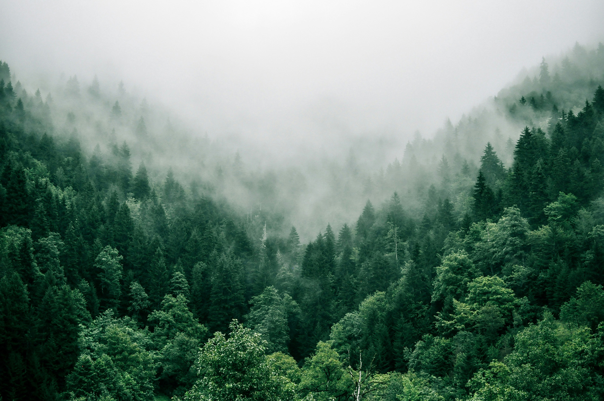 Sustainability