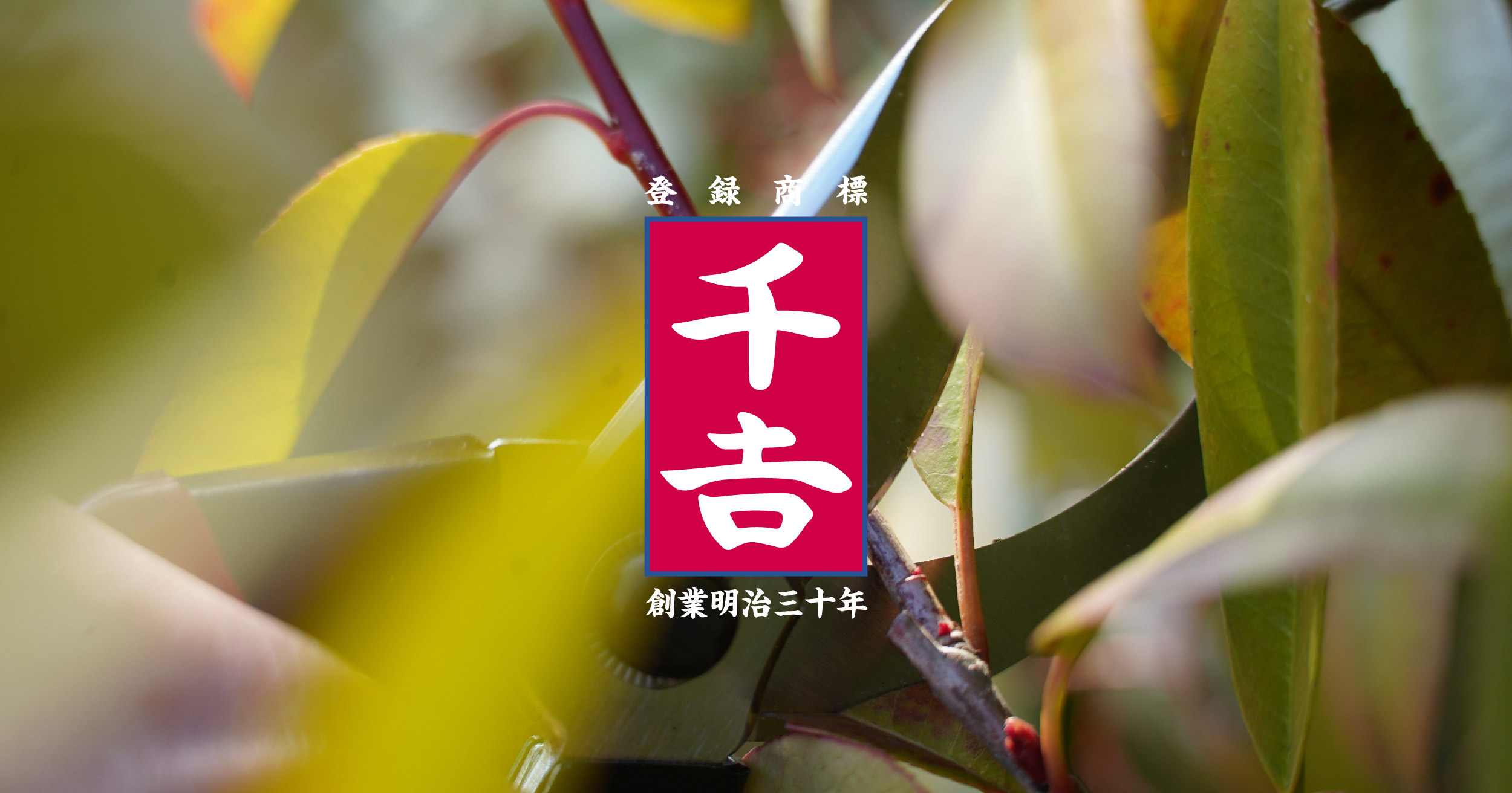 千吉｜株式会社藤原産業ホールディングス